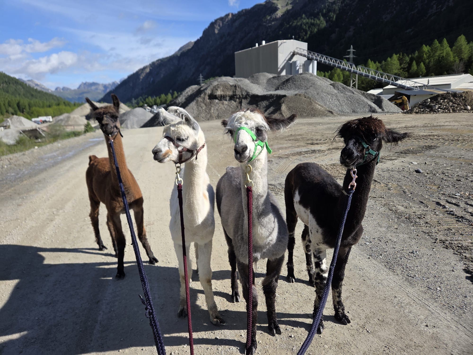 Panorama-Trekking im Engadin